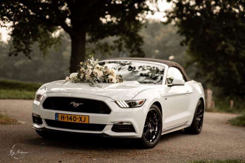 Ford Mustang Cabrio huren voor bruiloft🚘 JS Trouwauto's