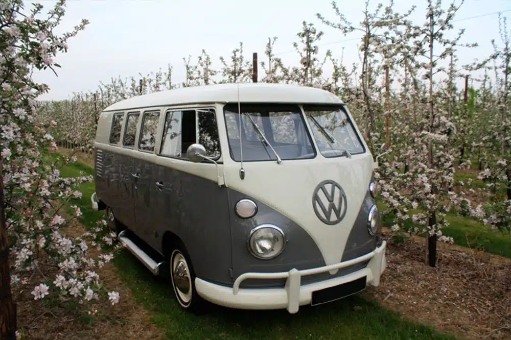 Een nostalgische trouwauto met een klassiek Volkswagen-busje, gelegen in een charmante boomgaard met een sfeer van romantiek en natuurlijke schoonheid